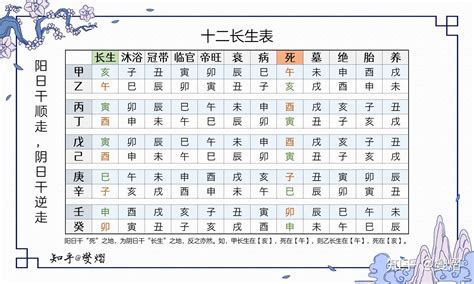 十二长生诀|十二长生表：生旺死绝胎养过程